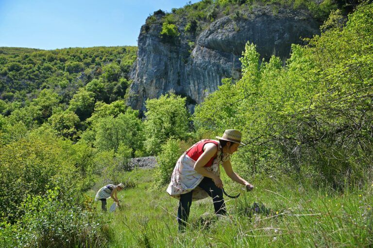 Neu: Naturschätze aus Frankreich & Sommerthema «Leichte Beine»
